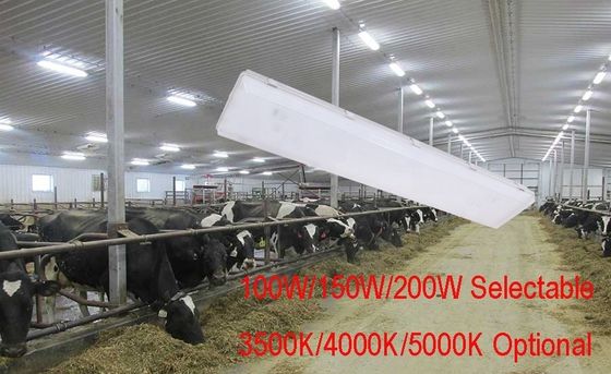 100W 3500K 4FT LED Vapor Tight High Bay IP67 com difusor de policarbonato transparente