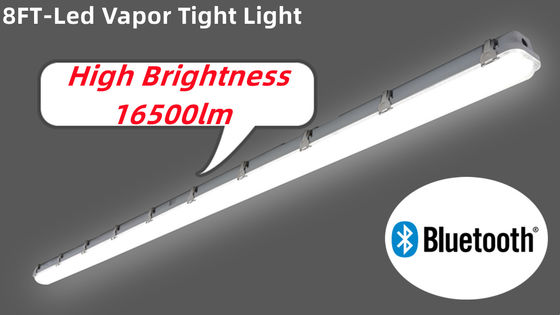IP66 IK10 resistente ao vapor LED para vapor comercial e industrial resistente a vapor 50000 horas