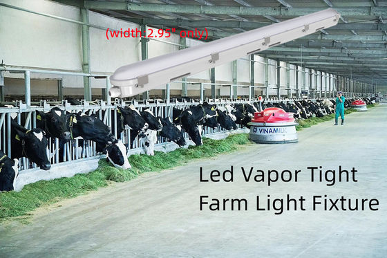 4FT Tri Proof LED Light Fixture 42W Linear Vapor Tight Light Para Armazenamento de Alimentos Durável