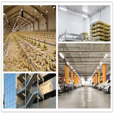 50000 horas de vida útil LED à prova d'água Tri-proof Vapor Tight Light for Indoor Farm Fixture