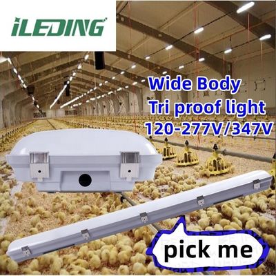 140lm 155W IP67 LED Vapor Tight High Bay Tunable 3CCT Vapor Tight Lighting para Armazém
