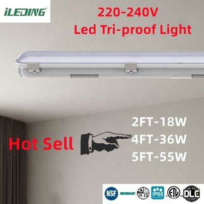Lâmpada de estacionamento LED linear à prova de triespendida IP66