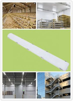 IP66 resistente à água linear 65W Depoimento LED Vapor Energia de luz apertada para fazenda de laticínios interior